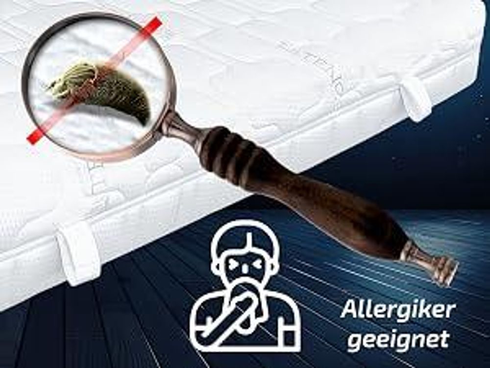 Antibakterielle Kaltschaummatratze Viscoschaum