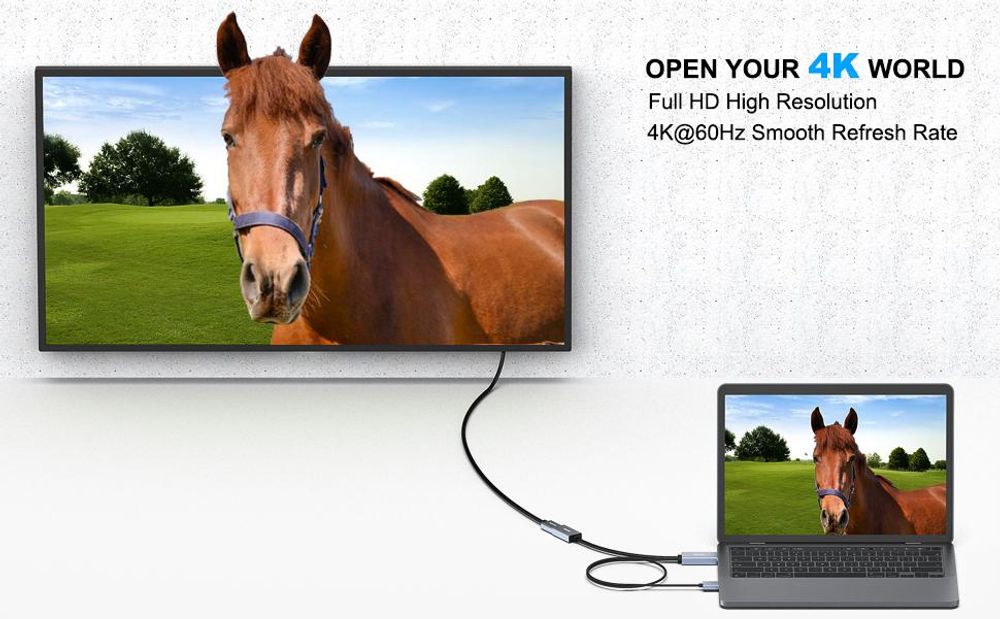 BENFEI Kabeladapter HDMI auf DisplayPort Adapter 4K 60Hz Konverter