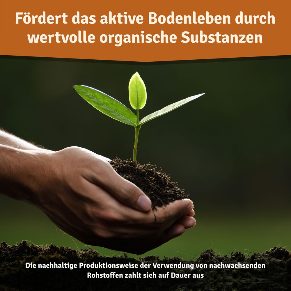 Veddelholzer Biologischer Herbstrasendünger nachhaltiger Bodenaktivator unbedenklich für Kinder & Haustiere mit Kalium für frostbeständigen Rasen ideale Überwinterung Herbstdünger für Streuwagen geeignet