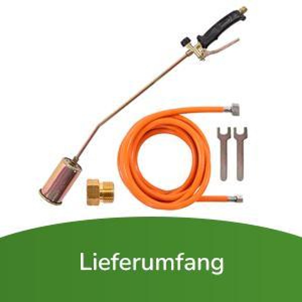 Fepro® Gasbrenner Abflammgerät 58kW mit 4,5m Schlauch & Druckminderer – Unkrautvernichter, Anzünder, Bitumenbahnen Schweißen