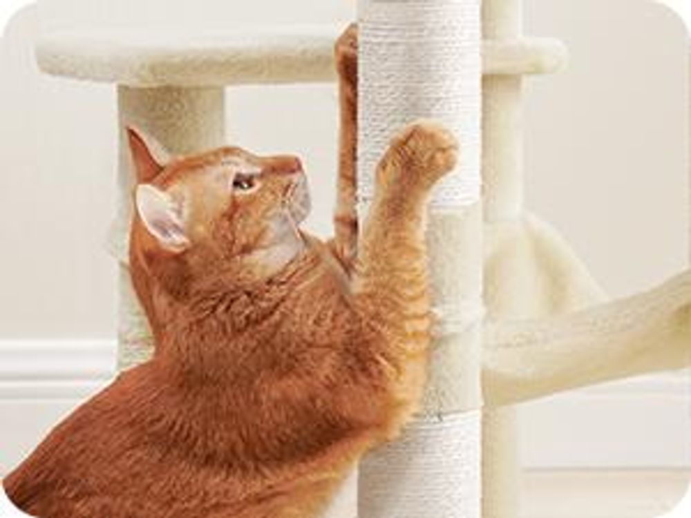 FEANDREA Kratzbaum, 112 cm, Katzenbaum mit Hängematte, mehrstöckiges Katzenhaus, Beige