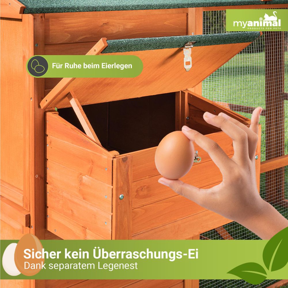 MyAnimal XXL Hühnerstall MH-15 | Bis zu 7 Hühner - Aufklappbarer Nistkasten - Auslauf - Zwei Etagen - Hühnergehege - Freigehege - Sitzstange (Grau)