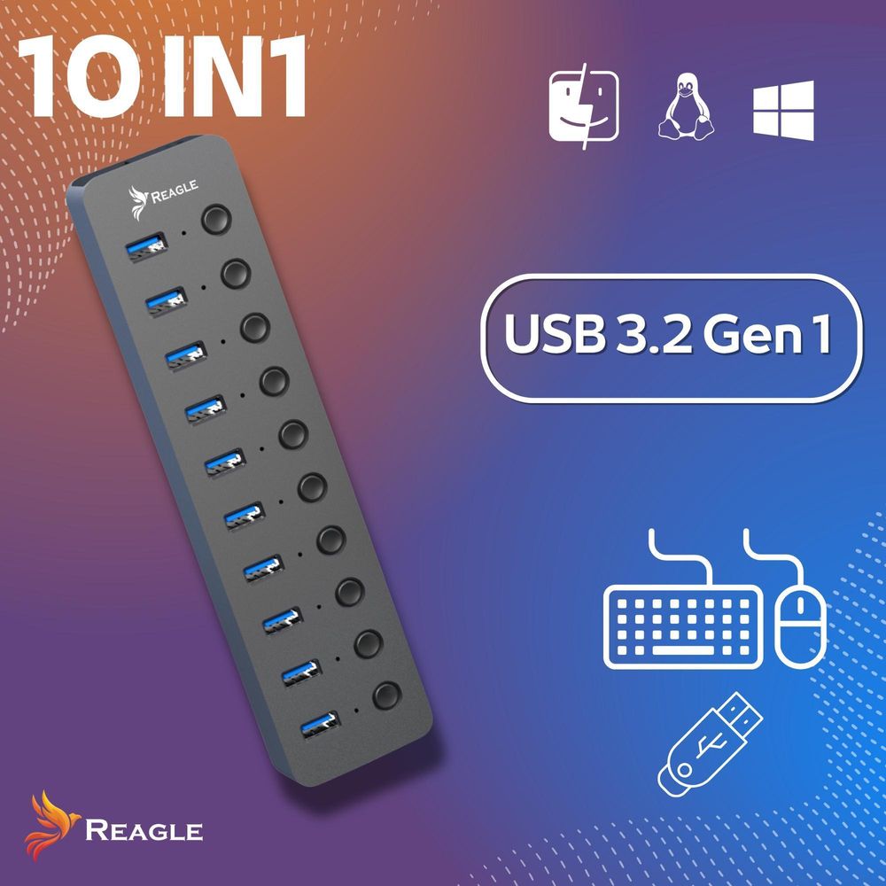 Reagle USB 3.1 PRO Aktiver 10-Port USB-A Adapter 36W