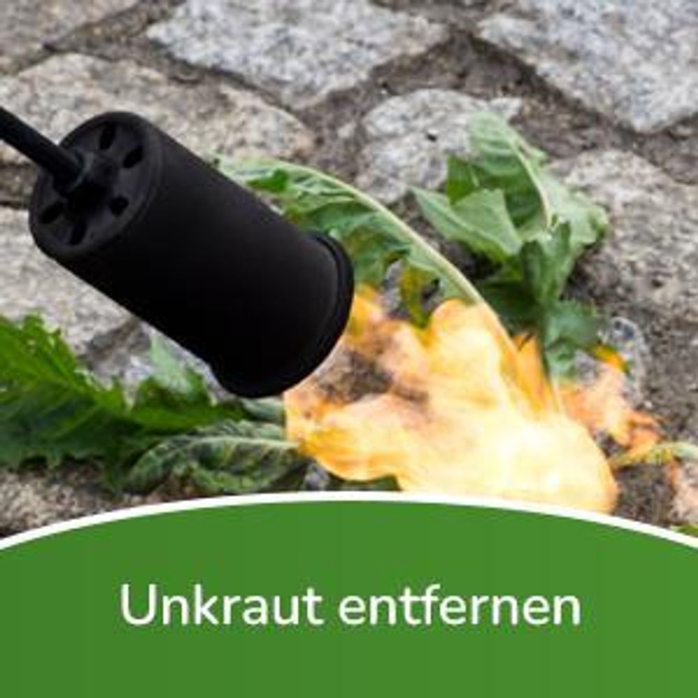 Fepro® Gasbrenner Abflammgerät 58kW mit 4,5m Schlauch & Druckminderer – Unkrautvernichter, Anzünder, Bitumenbahnen Schweißen