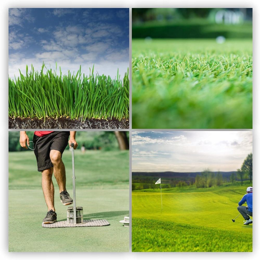 KADAX Rasensamen, Grassamen, schnellwachsendes Gras, schnellkeimender Rasensamen