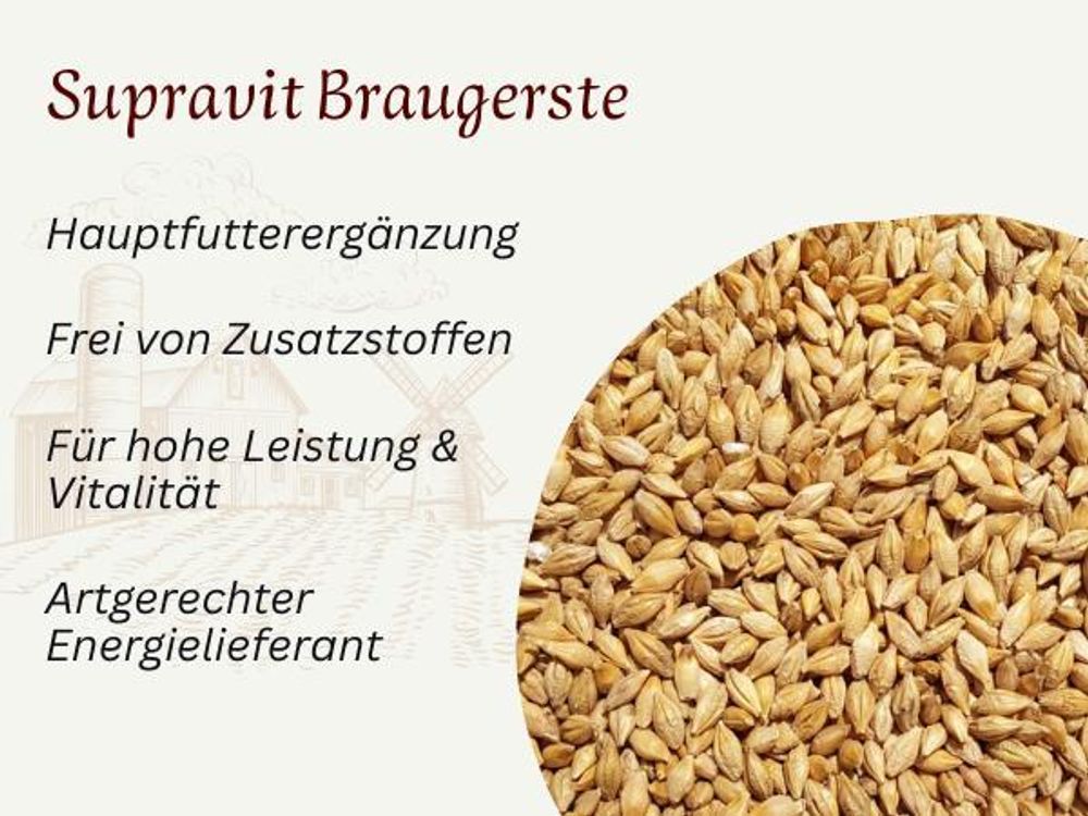 Fotografie des Futters