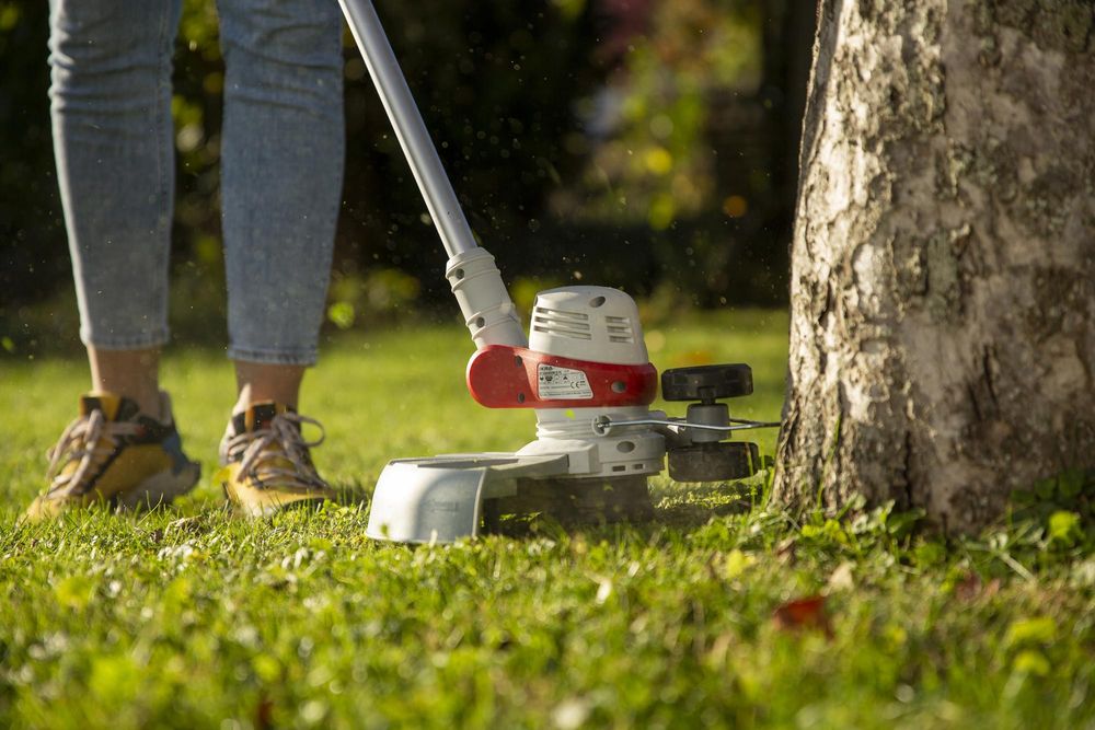 IKRA Elektro Rasentrimmer IGT 650 D-TC| 650 W | 30 cm Schnittbreite | TwinCut System| Pflanzenschutzbügel | mit Fadenspule, Nylonmesser & Ersatzmesser