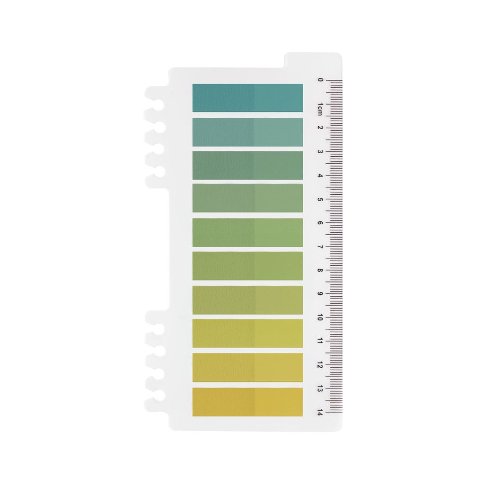 Ordinate-Citrus Green 200 Stück Sticky Notes, Transparent Haftnotizen zum Markieren, Haftstreifen, Seitenmarkieren, Ästhetischer Haftnotizzettel