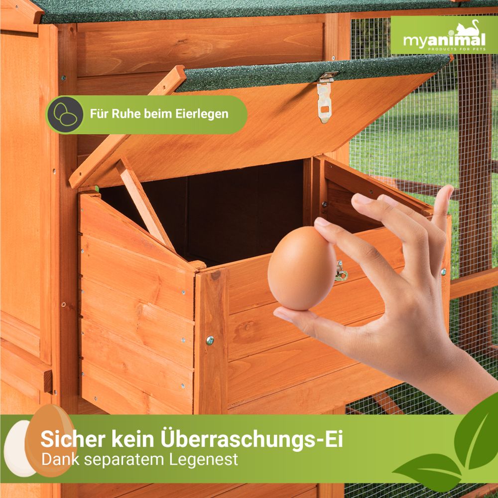 MyAnimal XXL Hühnerstall MH-15 | Bis zu 7 Hühner - Aufklappbarer Nistkasten - Auslauf - Zwei Etagen - Hühnergehege - Freigehege - Sitzstange (Braun)
