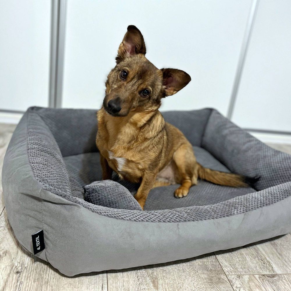 4L Textil TEO Hundekorb mittelgroße Hunde Kuscheliges Hundebett mit Bezug Hundekissen flauschig Hundekörbchen Hundesofa (100x80 cm, Dunkelgrau)