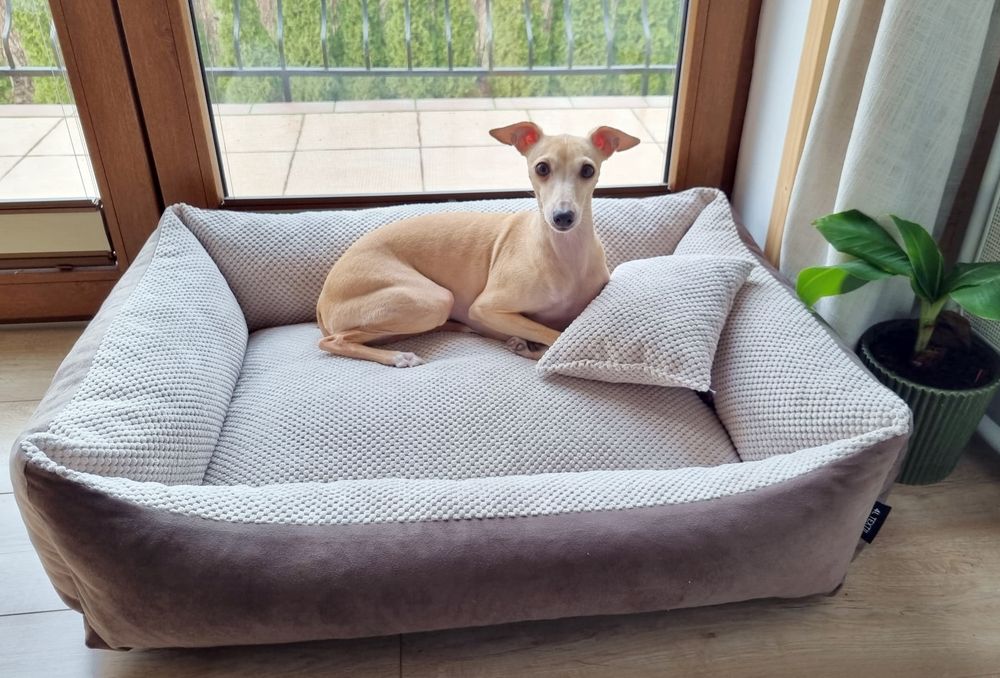 4L Textil TEO Hundekorb mittelgroße Hunde Kuscheliges Hundebett mit Bezug Hundekissen flauschig Hundekörbchen Hundesofa (100x80 cm, Braun/Beige)