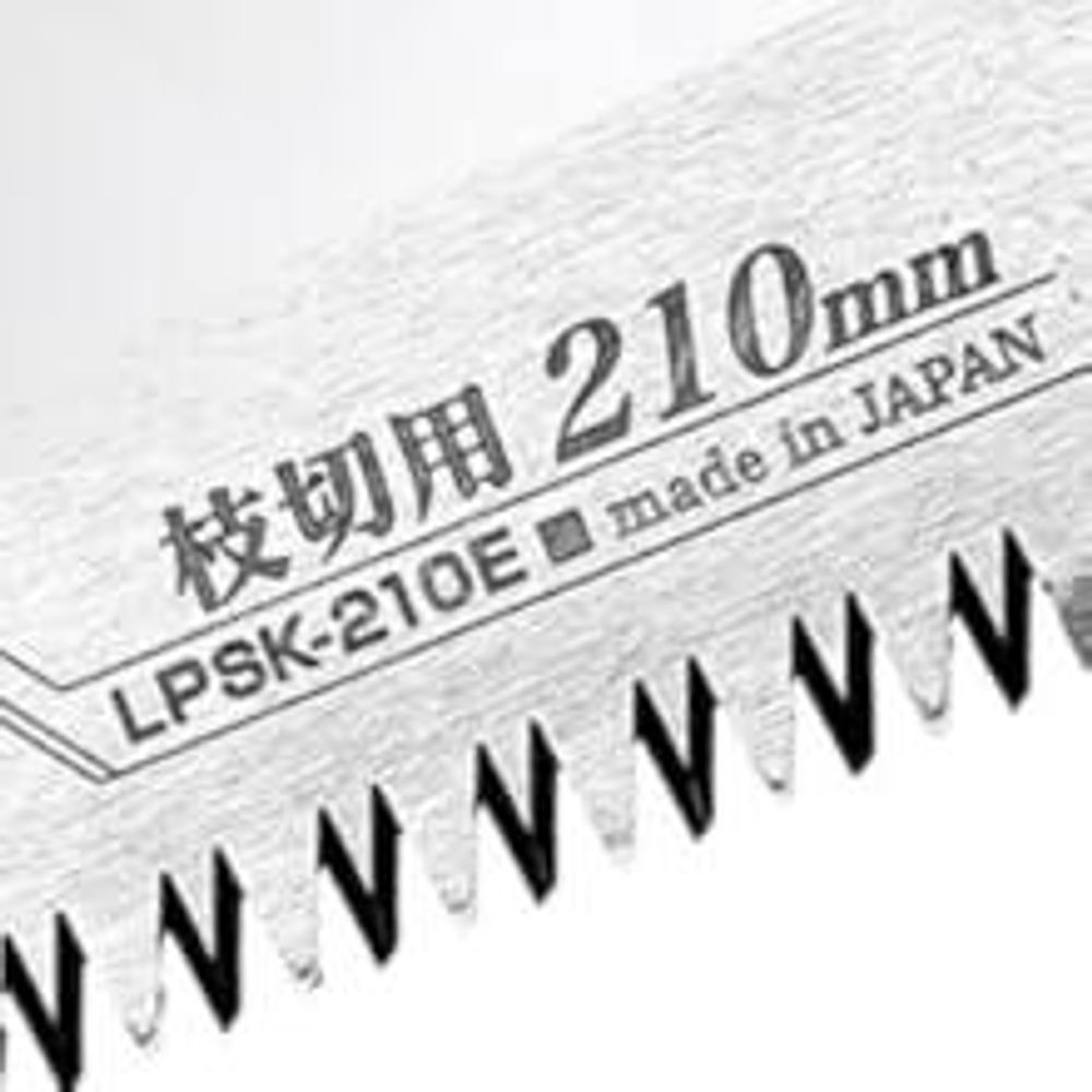 FANZTOOL 20V Li-Ion Akku 2-in-1 Hochentaster/teleskop Heckenschere mit 2Ah Akku & Ladegerät, Reichweite bis 5 m, 17 cm Schnittstärke, leichtes Gewicht 3,5 Kg