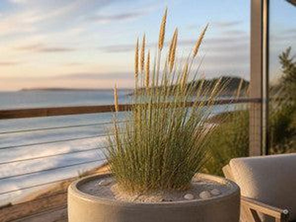 Großer Kübel mit Strandhafer und Sand-Mulch auf dem Balkon im Abendlicht