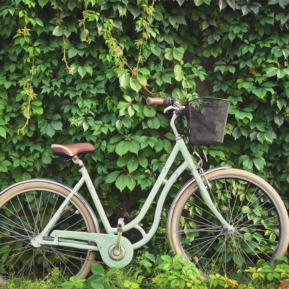 Fahrradkorb Vorne mit Halterung Klicksystem Lenkerkorb Citykorb mit Adapter Vorderradkorb Drahtkorb Einkaufskorb Engmaschig Fahrrad Schwarz Stahl Retoo
