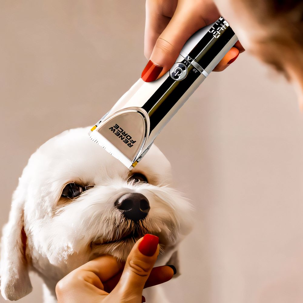 Fellscheren, 5 Feineinstellstufen Tier-Haarschneider, 12 Teiliges Hundeschermaschine-Set, 4 Grenzkämmen Schermaschine, Retoo