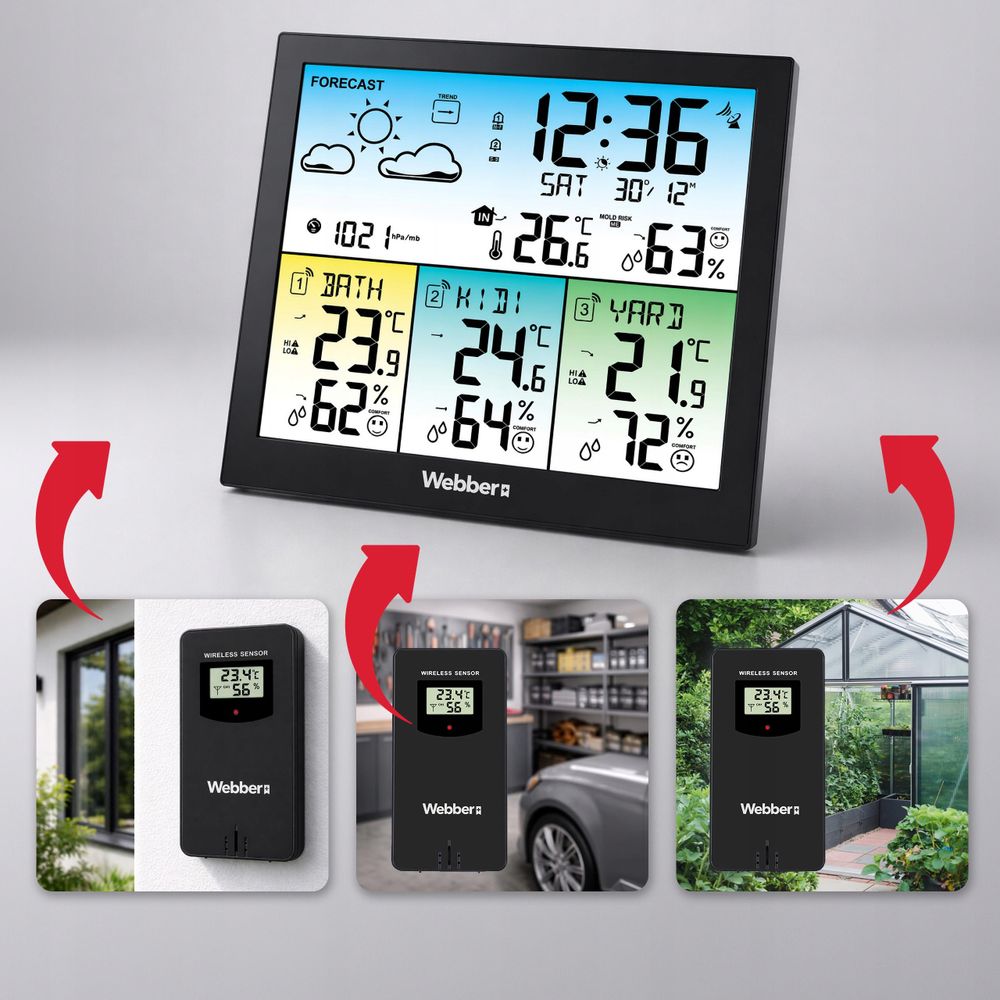 Wettervorhersage und Luftdrucktrend der WEBBER WS302