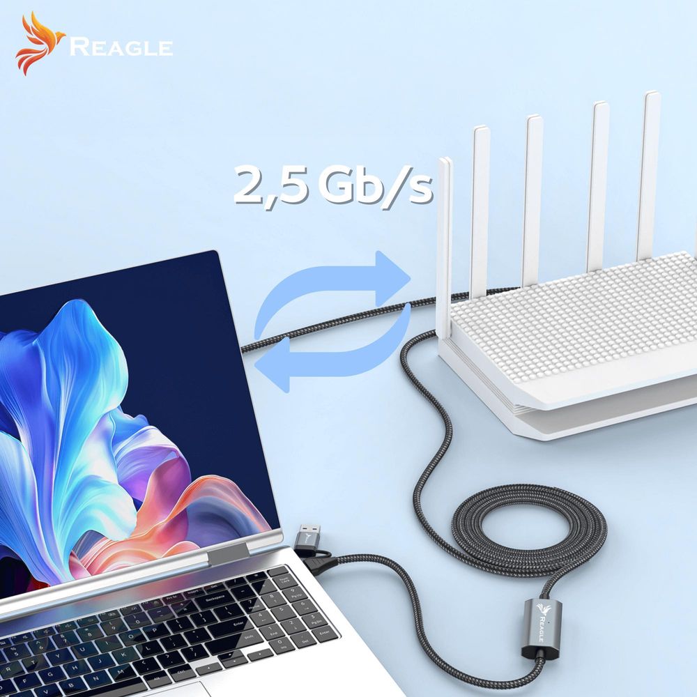 Ethernet LAN Kabel 3m 2.5 Gbps 2in1 USB C und USB A Adapter auf RJ45 für PC Laptop MacBook Tablet Schnelle Internetverbindung Reagle Professionell