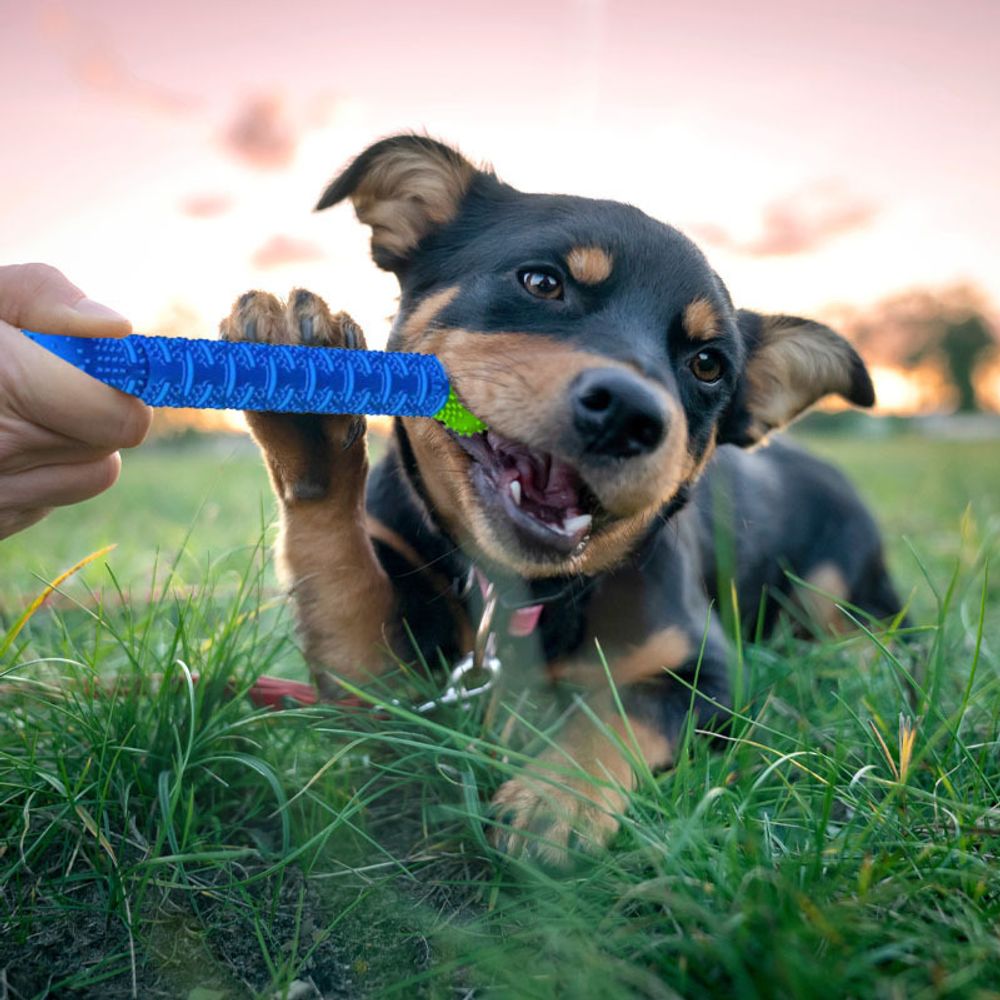 Hundespielzeug Kauspielzeug für Haustier Große Kleine Hunde Spielzeug Knochen Geformt Zahnreinigung Zahnpflege Hundezahnbürste Kauen Zahn 23cm Retoo