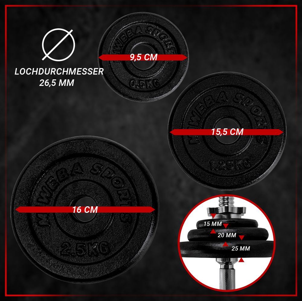 Miweba Sports Hantelset MKH120 | 20 kg - inkl. Kunststoffkoffer - 2x Hantelstange - 4x Sternverschluss - 4x 2,5 kg - 4x 1,25 kg - 4x 0,5 kg (Schwarz)