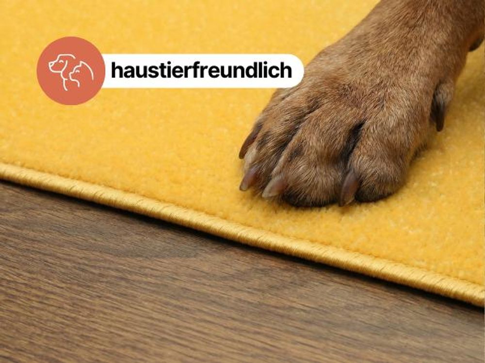 Tapiso Outdoor Teppich MONO Modern Beige Indoor/Outdoor  180 x 250 cm