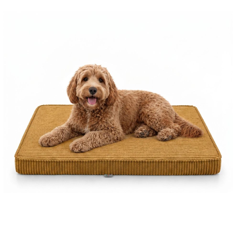 Hundebett Hundekissen Hundematte Cord Honig 90X60X8 Cm
