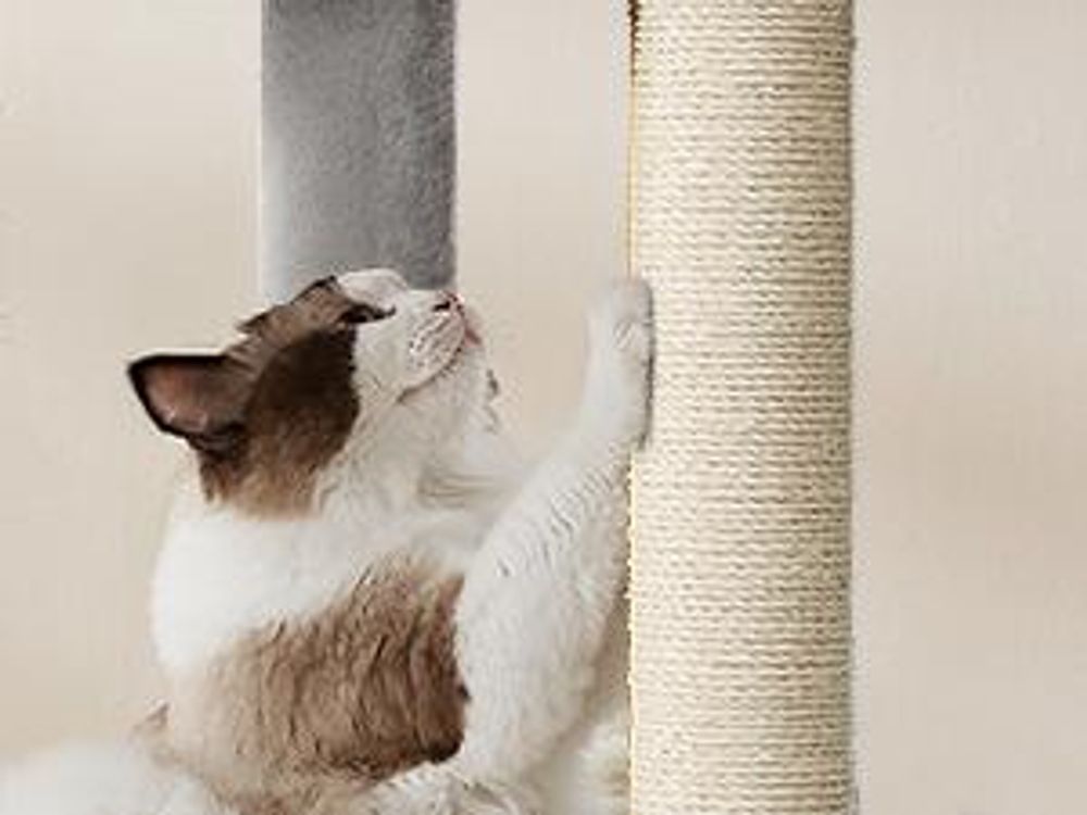 FEANDREA Kratzbaum für Raumecke, Katzenbaum, mit großer Kuschelhöhle, großen Plattformen, mehr Stabilität Taubengrau