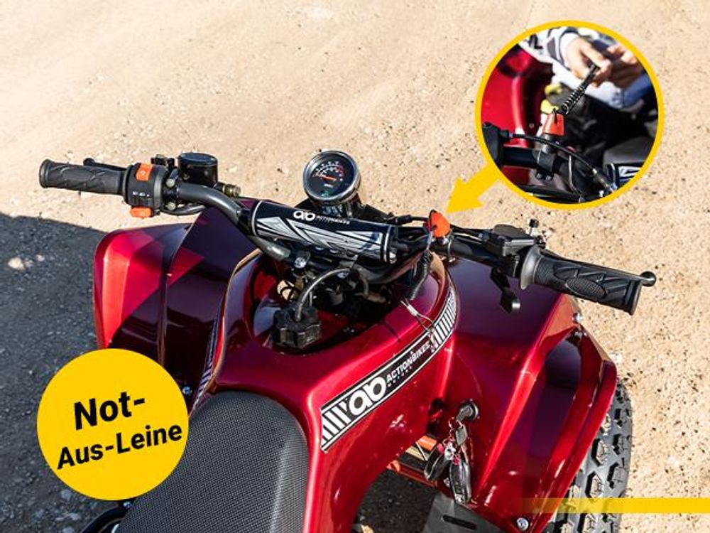 Actionbikes Motors Benzin Jugendquad S-10 | 125 ccm - Offroad Quad - ATV - Jugend Fahrzeug - Midi Quad - Pitbike - Pocketquad (lackiert Camouflage)
