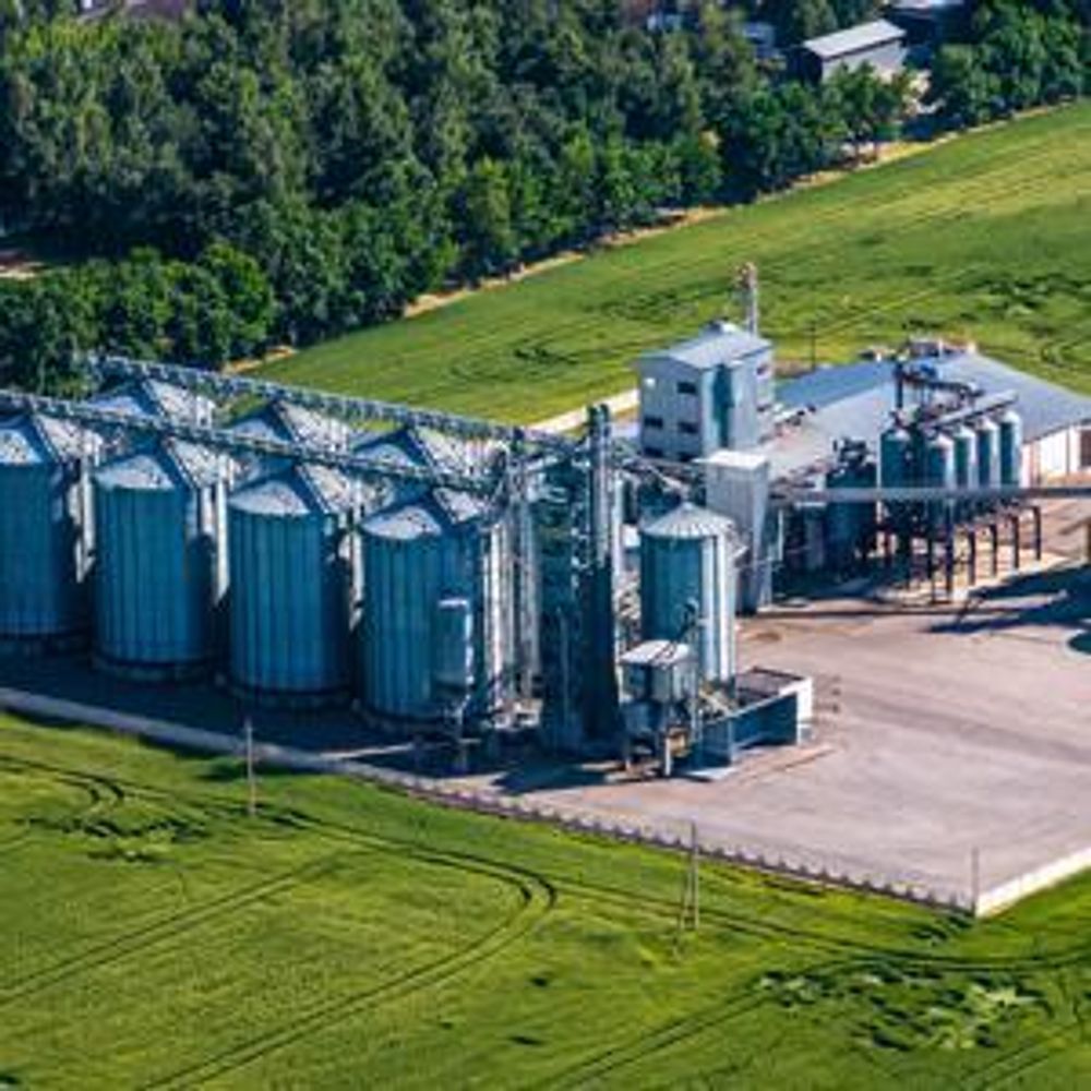 20kg Premium Rasensamen für Profis 800m², Zierrasen Superrasen, besonders dichtwachsend und tiefgrün, ideal für Neuansaat und Nachsaat, Rasensaat Grassamen