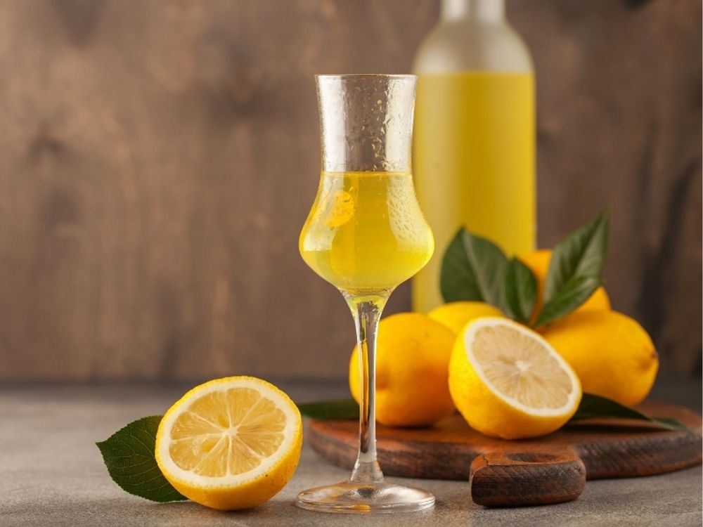 Meine Orangerie Amalfi Zitronenbaum Mezzo - echte Amalfi-Zitrone (Sfusato Amalfitano) - fruchtreife Zitruspflanze - veredelte Zitrone