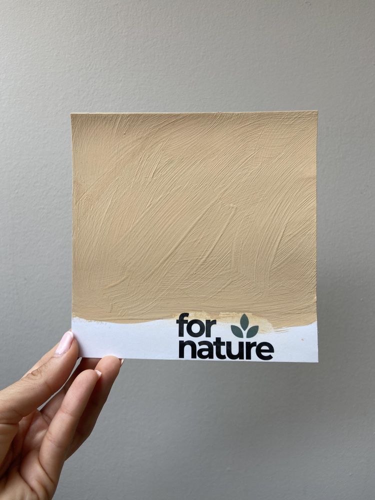 Farba wapienna Fornature LIMEA, próbnik koloru Piach (Piaskowożółty), do ścian i sufitów wewnątrz