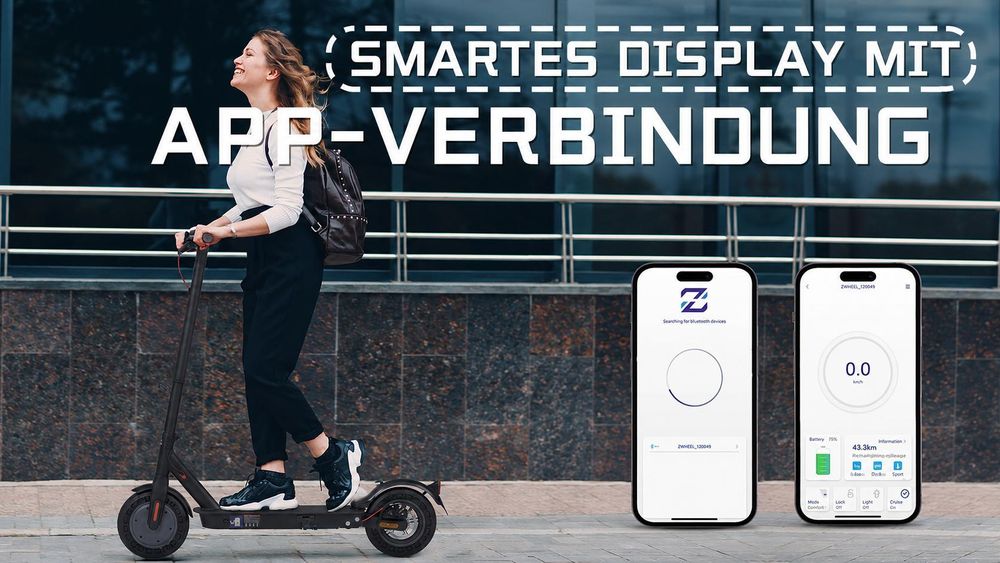 Draixcor E9T E-Scooter mit Straßenzulassung ABE, 10 Zoll Wabenreifen, 500W, 20 km/h, App, LED-Display, faltbar, Scheibenbremse, Doppelfederung, 120 kg