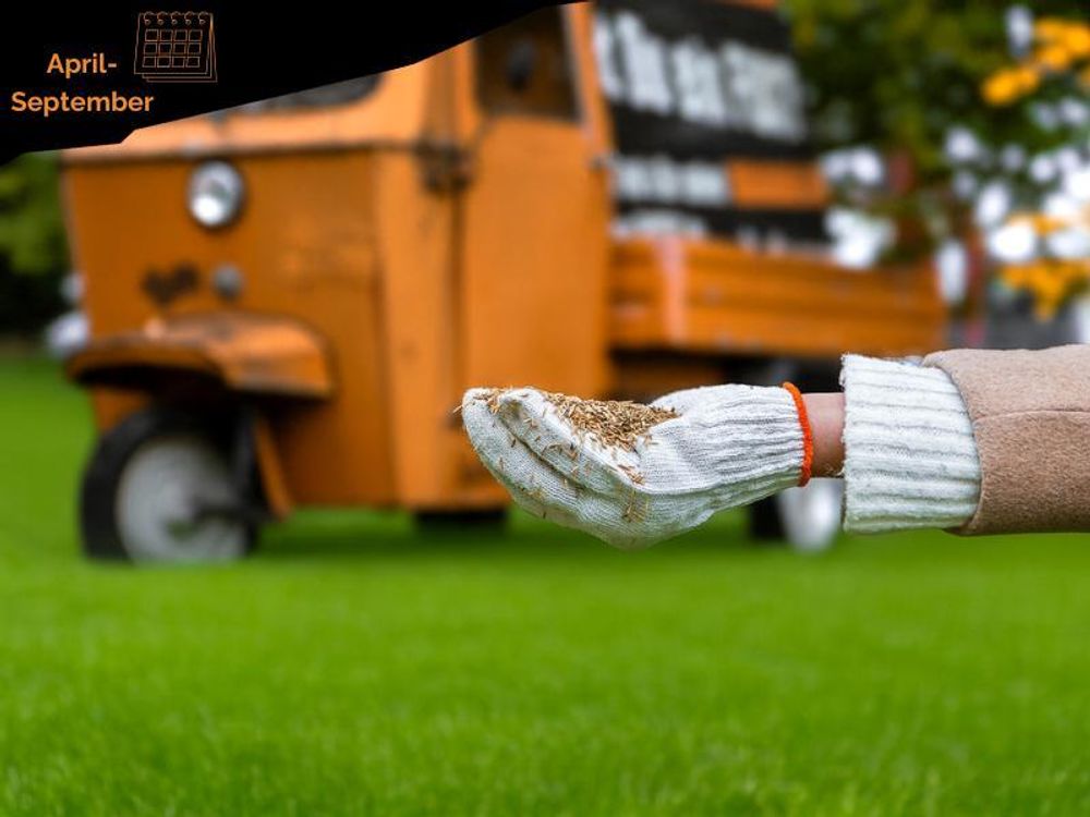 FUXTEC Rasensamen Nachsaat FX-RSNR1 | 1kg für 30m² | schnellkeimende Grasmischung | Rasenreparatur Frühjahr bis Herbst | Germany