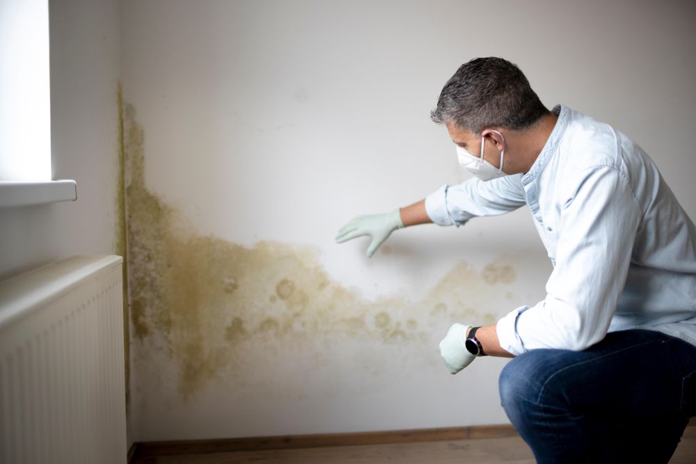 Feuchte Wände - Einsatz für Schimmel Dry