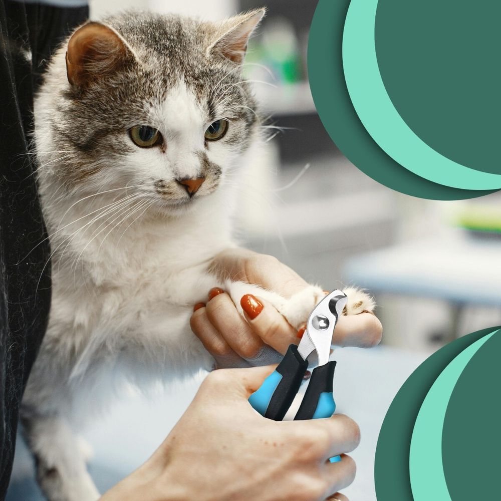 Pfotensichere Hunde, Krallenschere Katzen, Krallenschneider, Krallenzange, Nagelfeile, Retoo