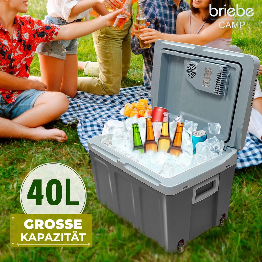 Briebe CF1155, Grau, Kunststoff, 40 l, 1 Stück(e), Elektro, AC, Gleichstrom