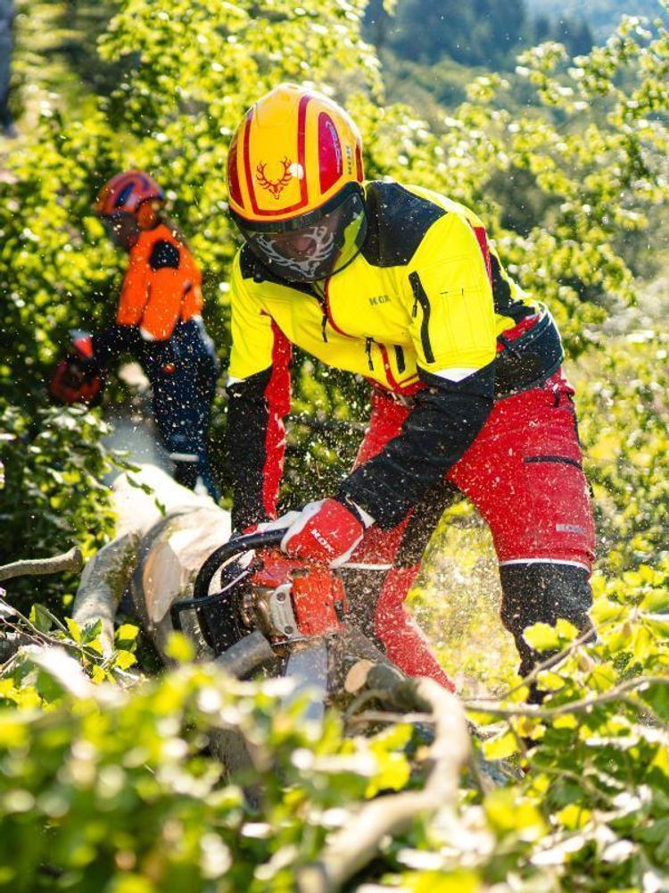Das Bild zeigt einen Forstarbeiter in Signalfarben Gelb und Rot, der im Wald arbeitet