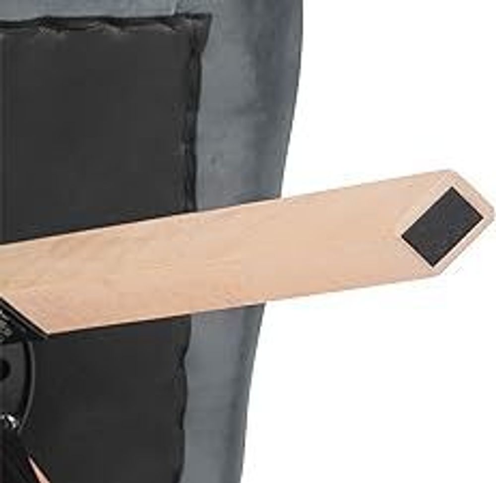 WOLTU 2er Set Esszimmerstühle drehbar, Drehstuhl, Küchenstuhl, Polsterstuhl mit Samtbezug, Wohnzimmerstuhl, Design Stuhl, Beine aus Buchenholz, Schwarz