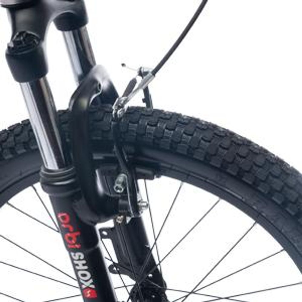 Kinderfahrrad Jungenfahrrad 20 Zoll Fahrrad mit 6 gang Kettenschaltungen Shimano RevoShift Verdant