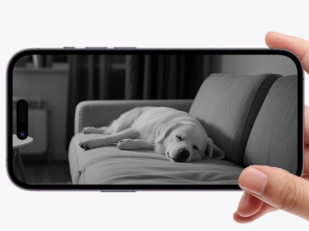ZOSI 4K PTZ Überwachungskamera Innen WLAN mit 64GB Karte, 2,4/5Ghz WiFi, Personen-/Haustiererkennung & Verfolgung, One-Touch-Call, C518