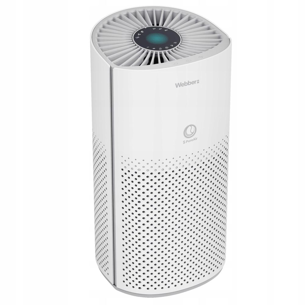 Ionisierungsfunktion des Webber ROSEG AP8550