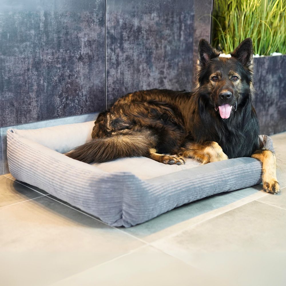 4L Textil MOLLY Kuscheliges Cord Hundebett mittelgroße Hunde Hundekorb Cord Hundekissen flauschig Hundekörbchen Cord (100x80 cm, Grau)