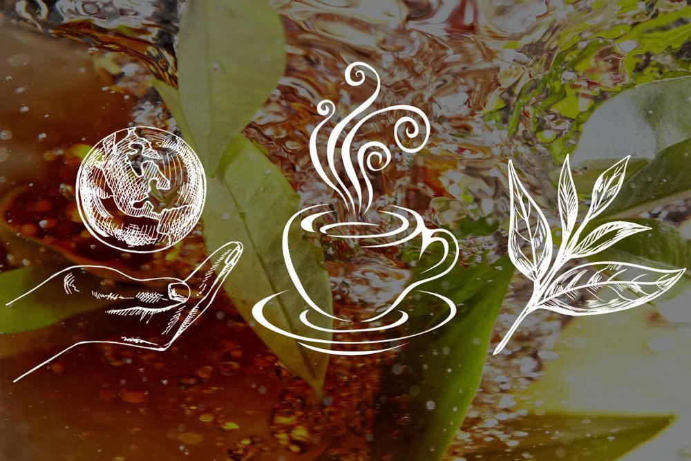 Loyd Earl Grey - 80 Torebek Herbata Czarna Ekspresowa Duże Opakowanie Premium