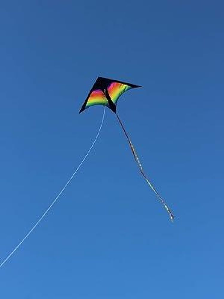Wolkenstürmer Kinderdrachen Delta Rainbow (bunt), Einleinerdrachen mit Glasfasergestänge - flugfertig inkl. Schnur