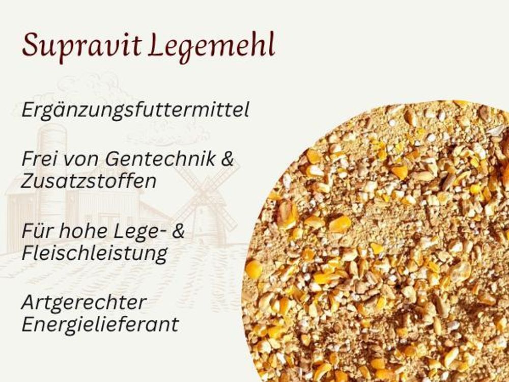 Fotografie des Futters