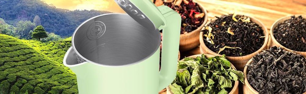Balter Wasserkocher Edelstahl 1,7L, 2200W, BPA-frei, LED-Beleuchtung, Doppelwand, Teekessel mit Abschaltautomatik, Trockenlaufschutz, Mint