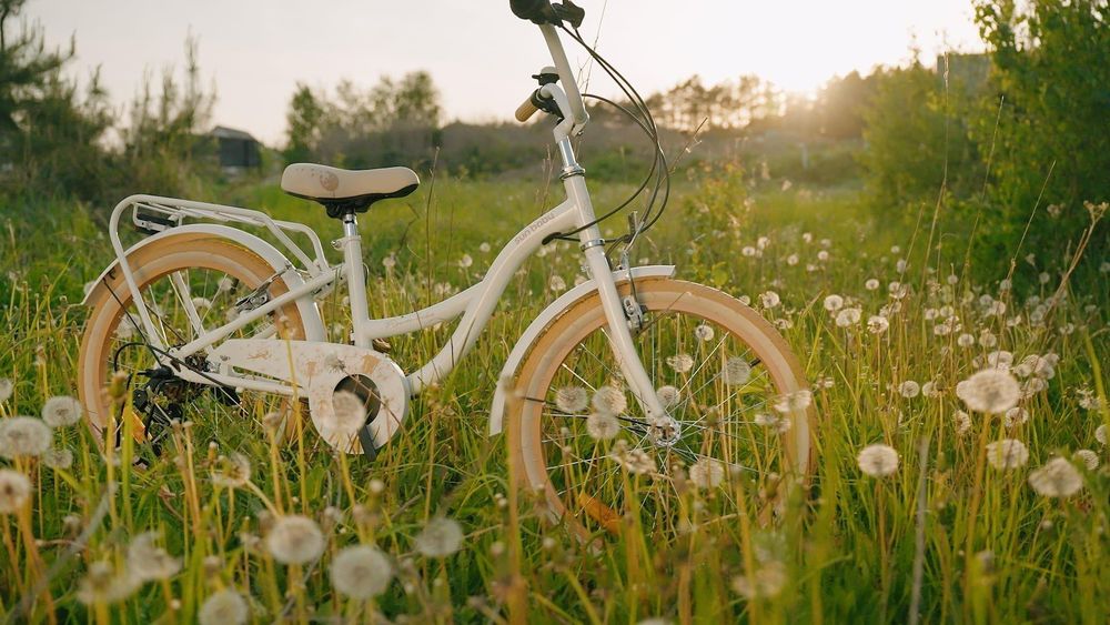 Bicicleta SUN BABY Flower Bike blanca de 20 pulgadas en un campo al atardecer.