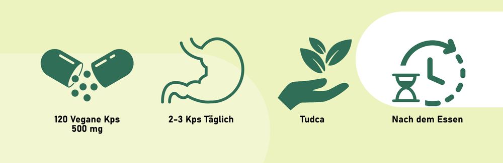 BOOS LABS das stärkste Tudca I Tauroursodeoxycholic Acid I 1500 mg pro Portion I 120 vegane Kapseln I Tudca Kapseln Hochdosiert, Nahrungsergänzungsmittel für Leber