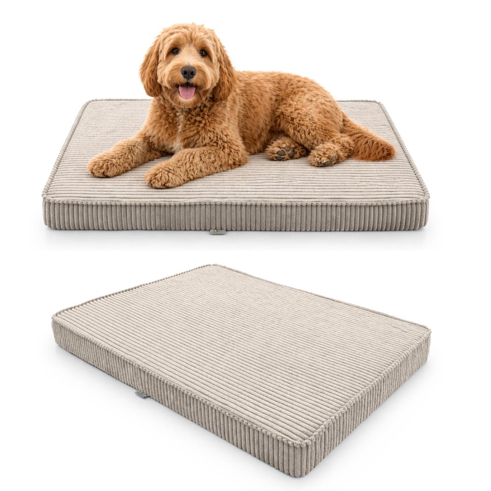Hundebett Hundekissen Hundematte Cord Beige 90X60X8 Cm