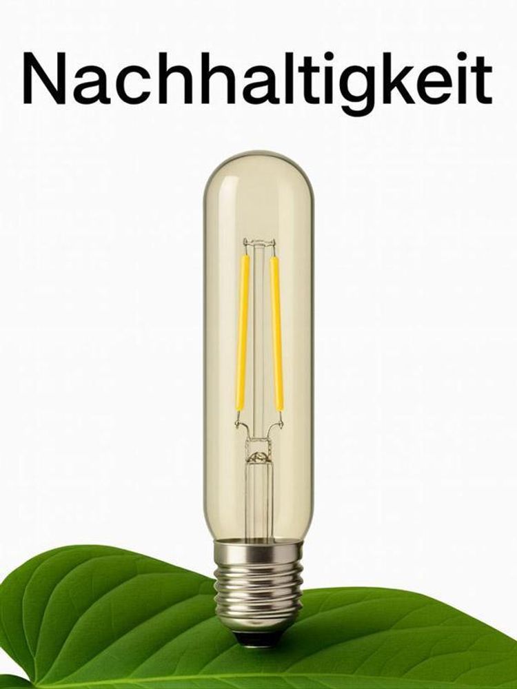 Das Bild zeigt ein Leuchtmittel in Röhrenform auf einem grünen Blatt