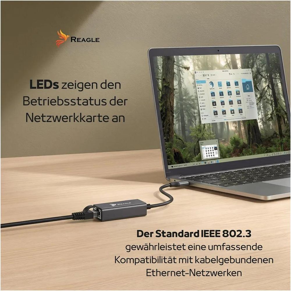 Reagle RYCRJ5 – LED-Anzeigen und IEEE-802.3-Unterstützung